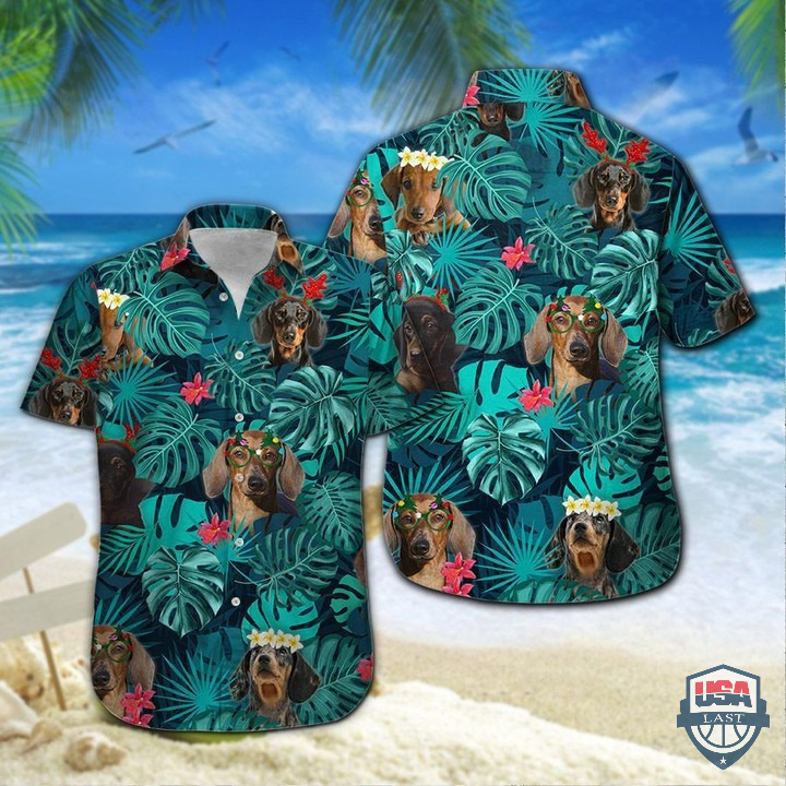 Dachshund And Tropical Leaves Hawaiian Shirt
