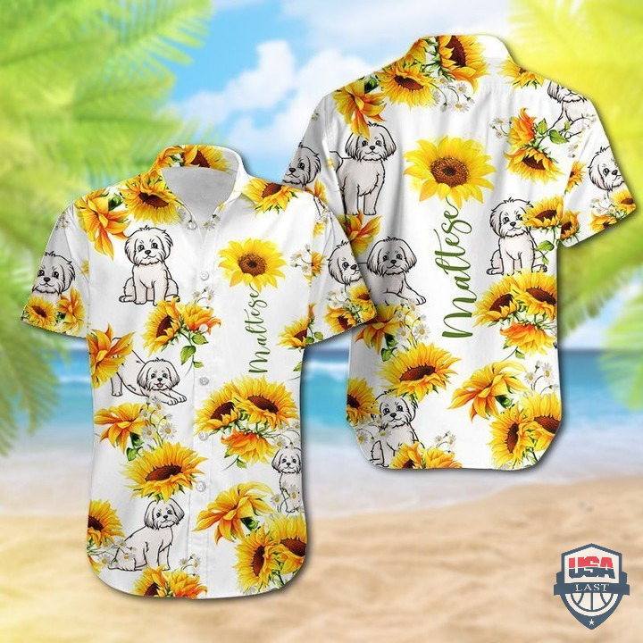 Maltese Sunflower Hawaiian Shirt