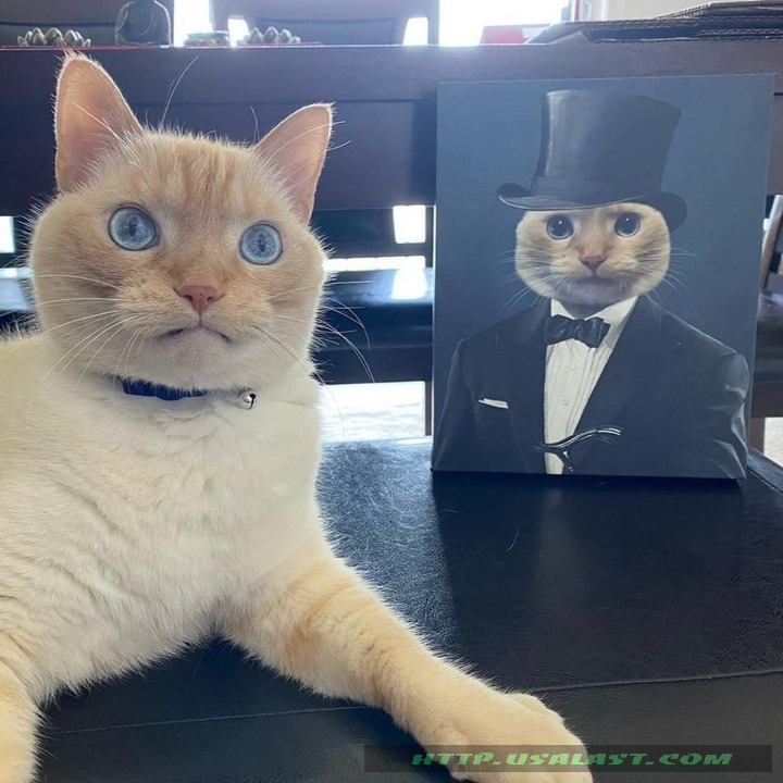 AMAZING Personalized Custom Pet The Gentleman Poster And Canvas Print