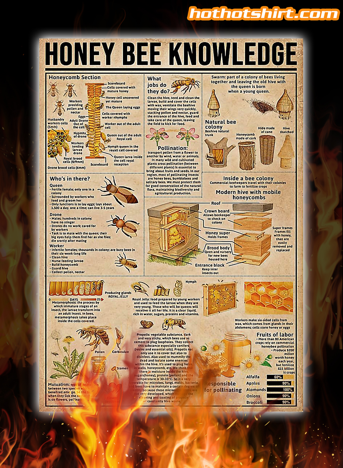Honey Bee Knowledge Poster