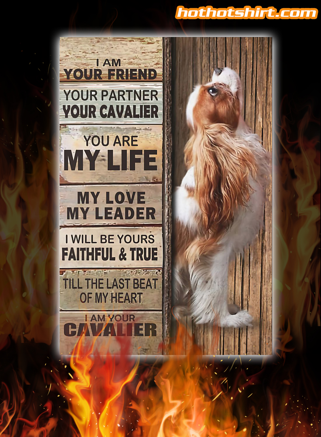 Cavalier King Charles Spaniel i’m your friend your partner poster