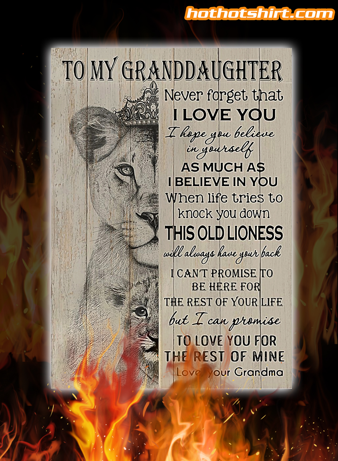 Lion to my granddaughter never forget that I love you grandma canvas prints